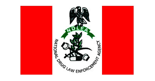 Alleged Suspects Arrested by Sokoto NDLEA Over Killing of its Operative