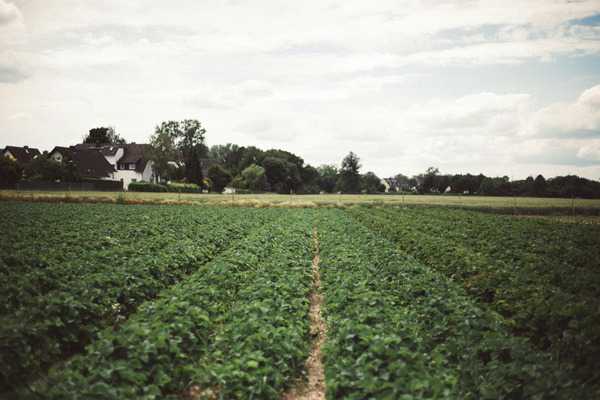 ImgResizer 20240726 0804 35647