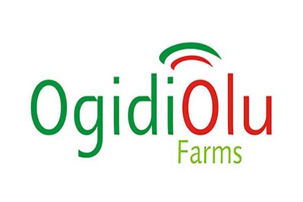 ImgResizer 20240731 1730 06970