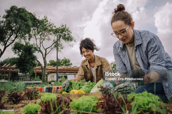 5 Food Security Measures to Ensure In Your Homes