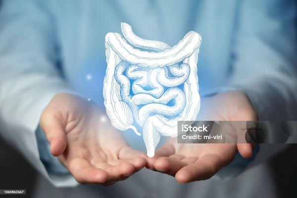 5 Ways to Manage a Healthy Gut for Optimal Well Being