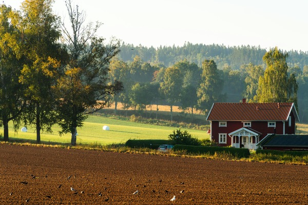 Eight Benefits of Planting Trees in Residential Areas 1 Eight Benefits of Planting Trees in Residential Areas